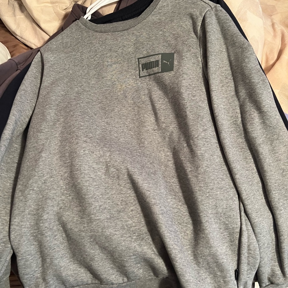 Puma
